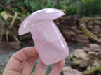 Polished Large Rose Quartz Mushrooms x 4 From Madagascar - Toprock Gemstones and Minerals 