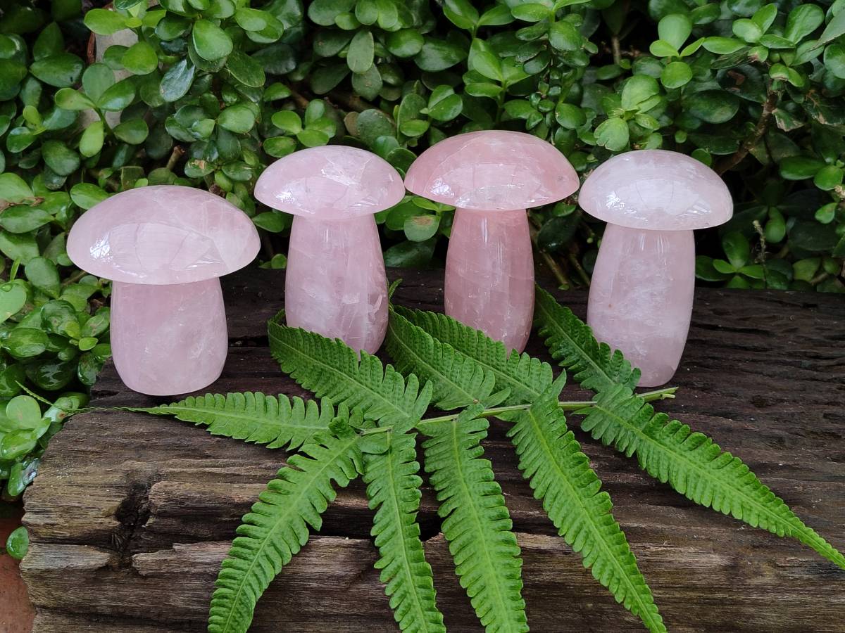 Polished Large Rose Quartz Mushrooms x 4 From Madagascar - Toprock Gemstones and Minerals 