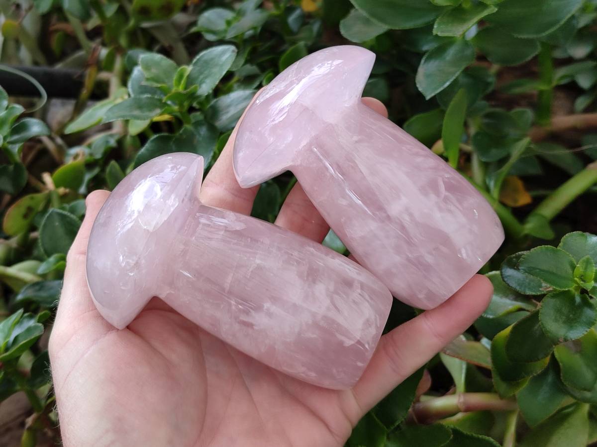 Polished Large Rose Quartz Mushrooms x 4 From Madagascar - Toprock Gemstones and Minerals 
