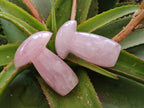 Polished Large Rose Quartz Mushrooms x 4 From Madagascar - Toprock Gemstones and Minerals 