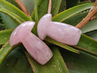 Polished Large Rose Quartz Mushrooms x 4 From Madagascar - Toprock Gemstones and Minerals 