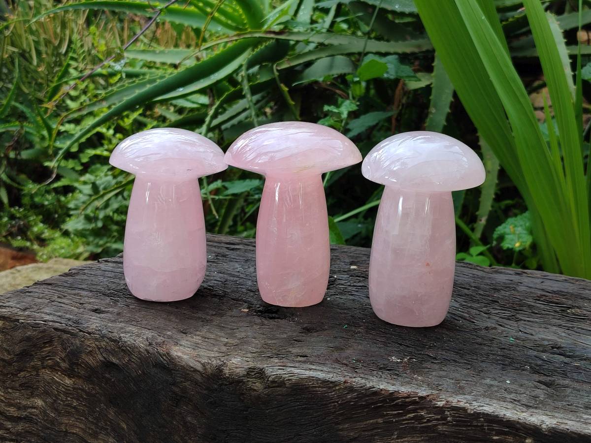 Polished Large Rose Quartz Mushrooms x 4 From Madagascar - Toprock Gemstones and Minerals 