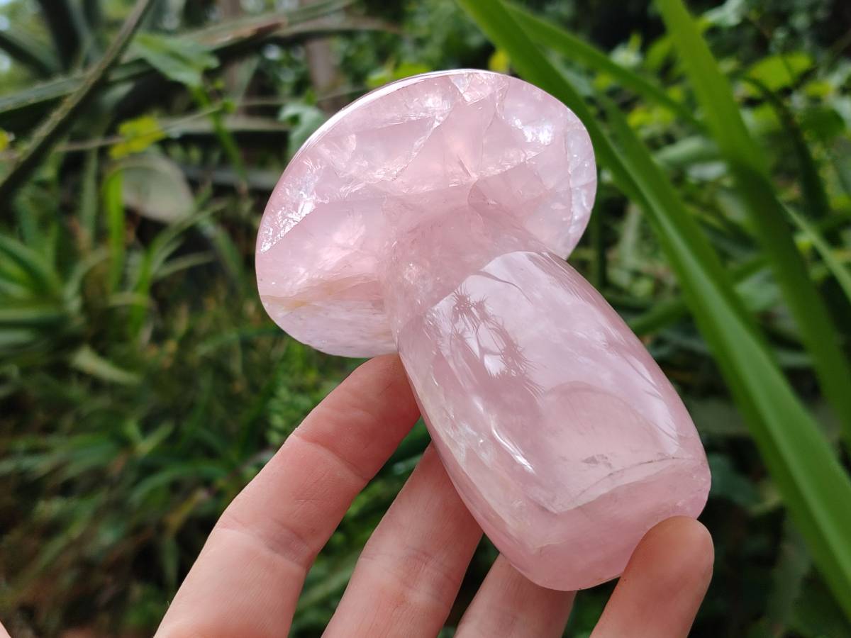 Polished Large Rose Quartz Mushrooms x 4 From Madagascar - Toprock Gemstones and Minerals 
