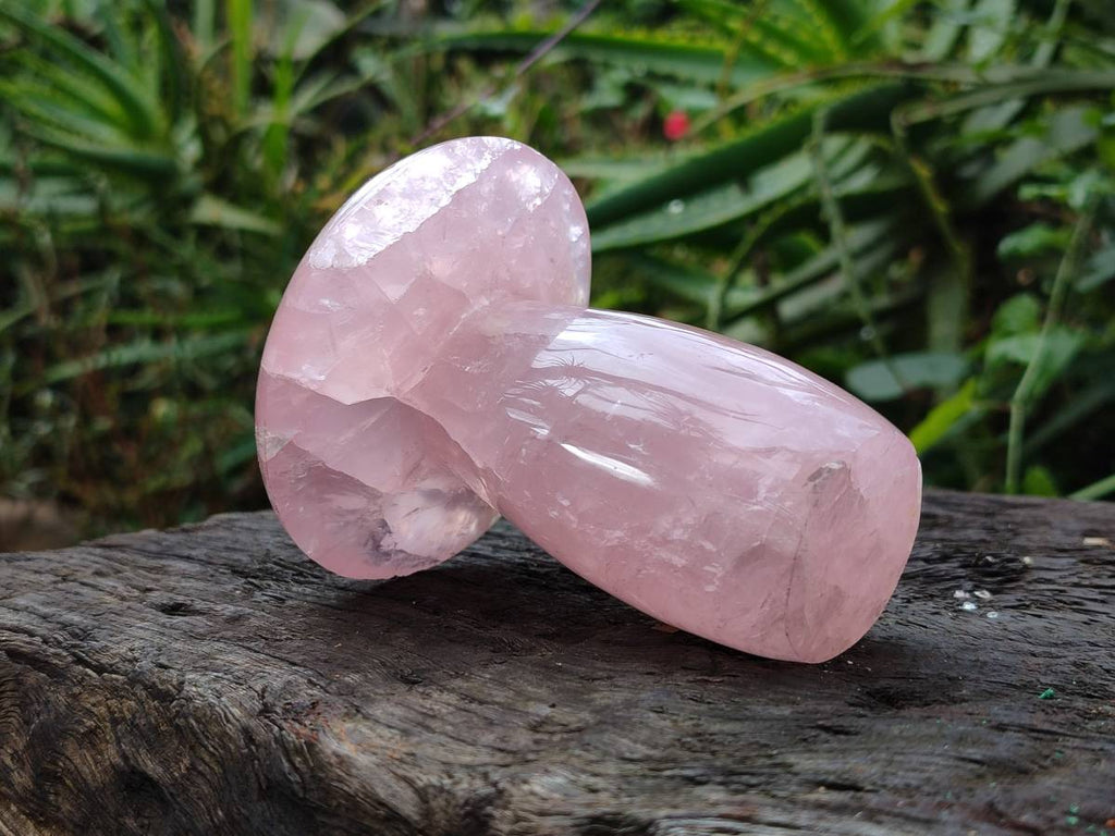 Polished Large Rose Quartz Mushrooms x 4 From Madagascar - Toprock Gemstones and Minerals 