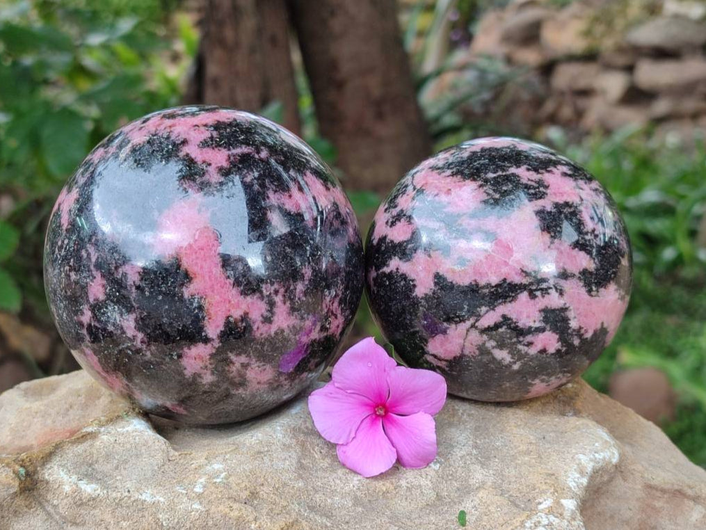 Polished Rhodonite Spheres x 2 From Ambindavato, Madagascar - Toprock Gemstones and Minerals 