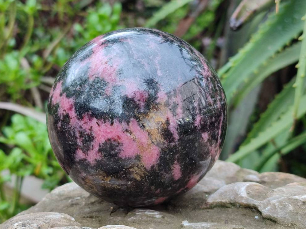 Polished Rhodonite Spheres x 2 From Ambindavato, Madagascar - Toprock Gemstones and Minerals 