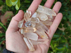 Natural Quartz Crystals x 1.97 Kg Lot From Zimbabwe - Toprock Gemstones and Minerals 