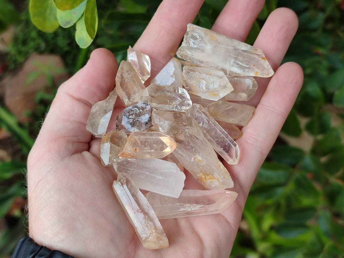 Natural Quartz Crystals x 1.97 Kg Lot From Zimbabwe - Toprock Gemstones and Minerals 