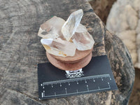 Natural Quartz Crystals x 1.97 Kg Lot From Zimbabwe