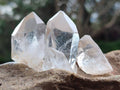 Natural Quartz Crystals x 1.97 Kg Lot From Zimbabwe - Toprock Gemstones and Minerals 
