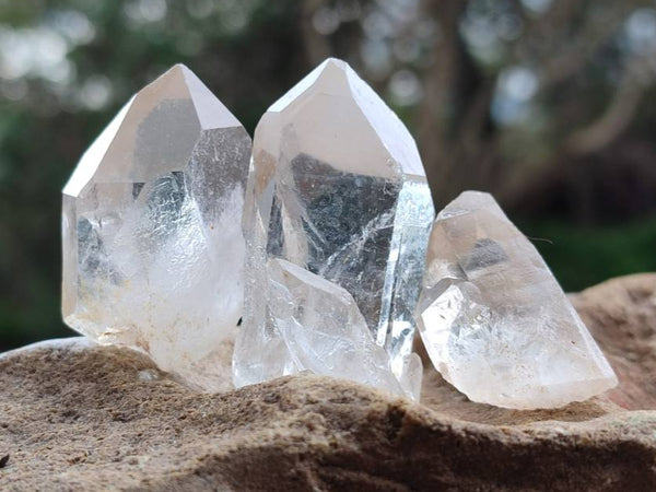 Natural Quartz Crystals x 1.97 Kg Lot From Zimbabwe