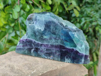 Polished On One Side Watermelon Fluorite Slices x 2 From Uis, Namibia