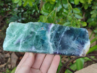 Polished On One Side Watermelon Fluorite Slices x 2 From Uis, Namibia