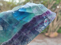 Polished On One Side Watermelon Fluorite Slices x 2 From Uis, Namibia