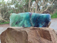 Polished On One Side Watermelon Fluorite Slices x 2 From Uis, Namibia
