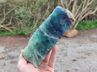 Polished On One Side Watermelon Fluorite Slices x 2 From Uis, Namibia