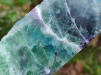 Polished On One Side Watermelon Fluorite Slices x 2 From Uis, Namibia