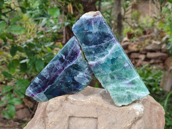 Polished On One Side Watermelon Fluorite Slices x 2 From Uis, Namibia