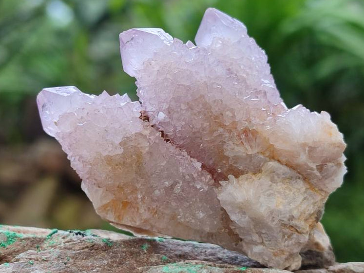 Natural Lilac Ametrine Spirit Quartz Clusters x 20 From Boekenhouthoek, South Africa - Toprock Gemstones and Minerals 