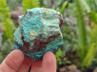 Natural Shattuckite Cobbed Specimens x 24 From Kaokoveld, Namibia