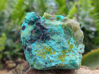 Natural Shattuckite Cobbed Specimens x 24 From Kaokoveld, Namibia