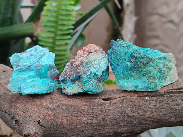 Natural Shattuckite Cobbed Specimens x 24 From Kaokoveld, Namibia