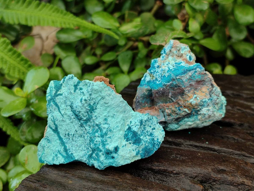Natural Shattuckite Cobbed Specimens x 24 From Kaokoveld, Namibia - Toprock Gemstones and Minerals 