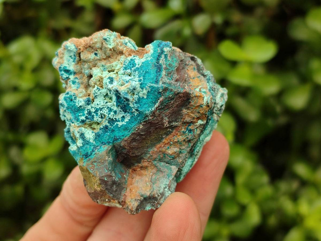 Natural Shattuckite Cobbed Specimens x 24 From Kaokoveld, Namibia - Toprock Gemstones and Minerals 