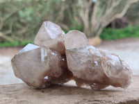 Natural Smokey Phantom Quartz Clusters x 6 From Luena, Congo