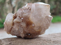 Natural Smokey Phantom Quartz Clusters x 6 From Luena, Congo