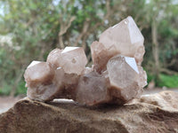 Natural Smokey Phantom Quartz Clusters x 6 From Luena, Congo
