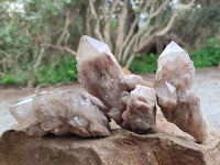 Natural Smokey Phantom Quartz Clusters x 6 From Luena, Congo