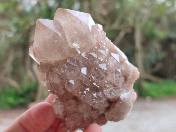 Natural Smokey Phantom Quartz Clusters x 6 From Luena, Congo