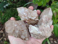 Natural Smokey Phantom Quartz Clusters x 6 From Luena, Congo
