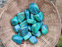 Polished Azurite And Flower Banded Malachite Free Forms x 97 From Congo - Toprock Gemstones and Minerals 