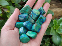 Polished Azurite And Flower Banded Malachite Free Forms x 97 From Congo - Toprock Gemstones and Minerals 