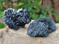 Natural Schorl Black Tourmaline Specimens x 12 From Erongo, Namibia