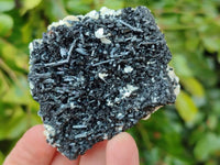 Natural Schorl Black Tourmaline Specimens x 12 From Erongo, Namibia