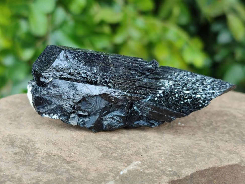 Natural Schorl Black Tourmaline Specimens x 12 From Erongo, Namibia - Toprock Gemstones and Minerals 