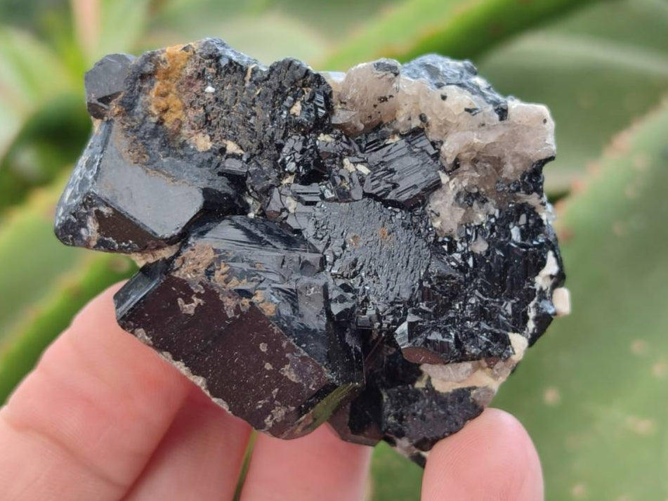 Natural Schorl Black Tourmaline Specimens x 12 From Erongo, Namibia - Toprock Gemstones and Minerals 
