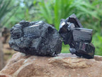 Natural Schorl Black Tourmaline Specimens x 12 From Erongo, Namibia - Toprock Gemstones and Minerals 