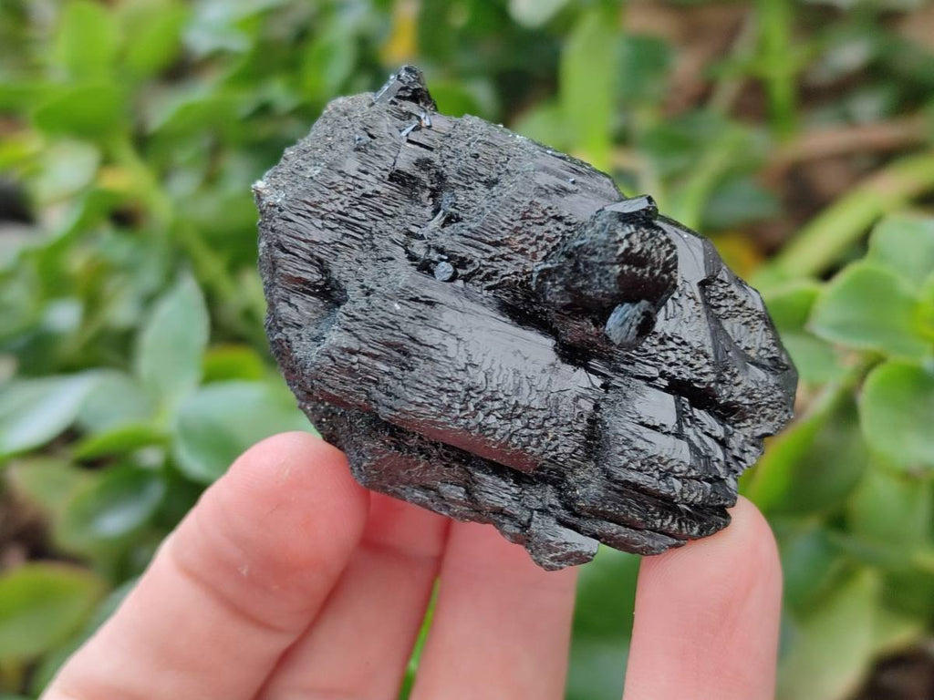 Natural Schorl Black Tourmaline Specimens x 12 From Erongo, Namibia - Toprock Gemstones and Minerals 