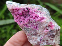 Natural Salrose Cobaltion Dolomite with Various Inclusions x 6 From Kakanda, Congo