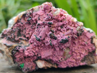 Natural Salrose Cobaltion Dolomite with Various Inclusions x 6 From Kakanda, Congo
