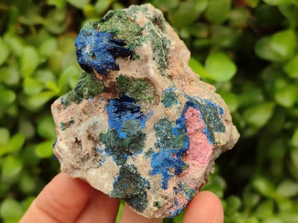 Natural Salrose Cobaltion Dolomite with Various Inclusions x 6 From Kakanda, Congo