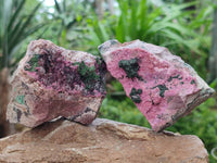 Natural Salrose Cobaltion Dolomite with Various Inclusions x 6 From Kakanda, Congo