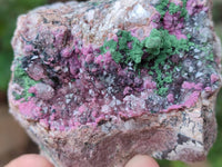 Natural Salrose Cobaltion Dolomite with Various Inclusions x 6 From Kakanda, Congo