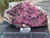 Natural Salrose Cobaltion Dolomite with Various Inclusions x 6 From Kakanda, Congo