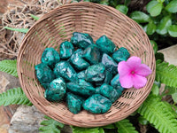 Polished Dioptase Free Forms x 26 From Likasi, Congo - Toprock Gemstones and Minerals 