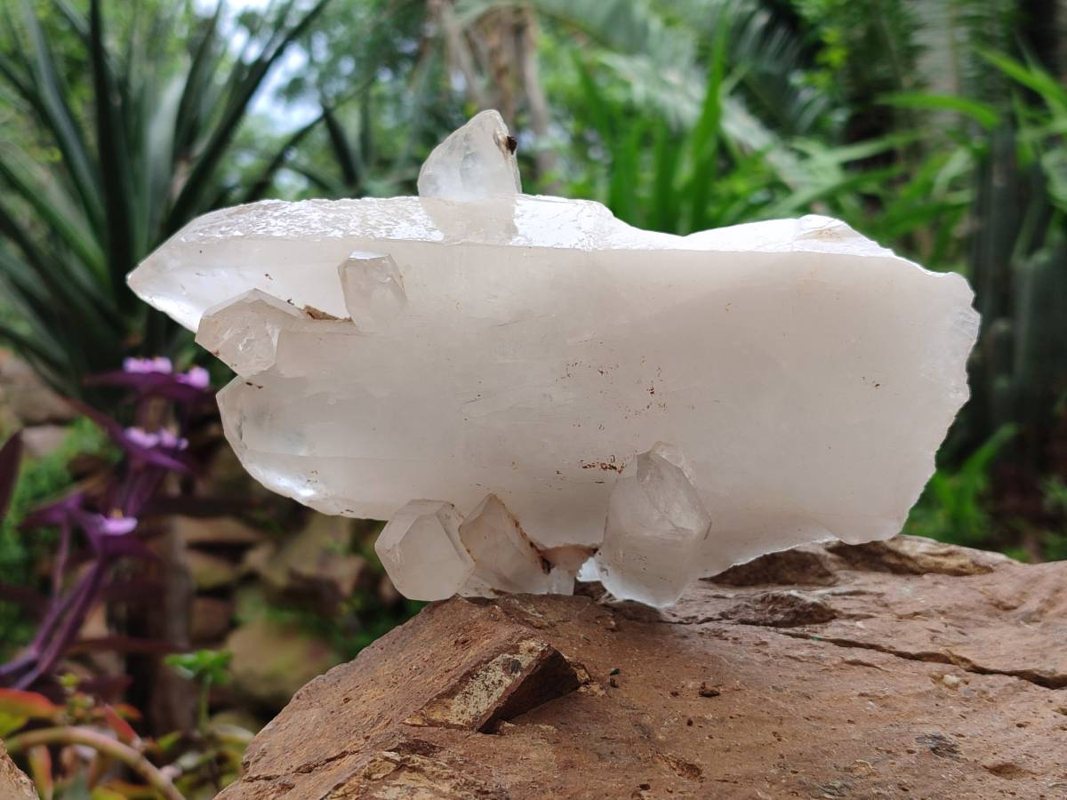 Natural Malagasy Quartz Crystal Clusters x 2 From Madagascar - Toprock Gemstones and Minerals 